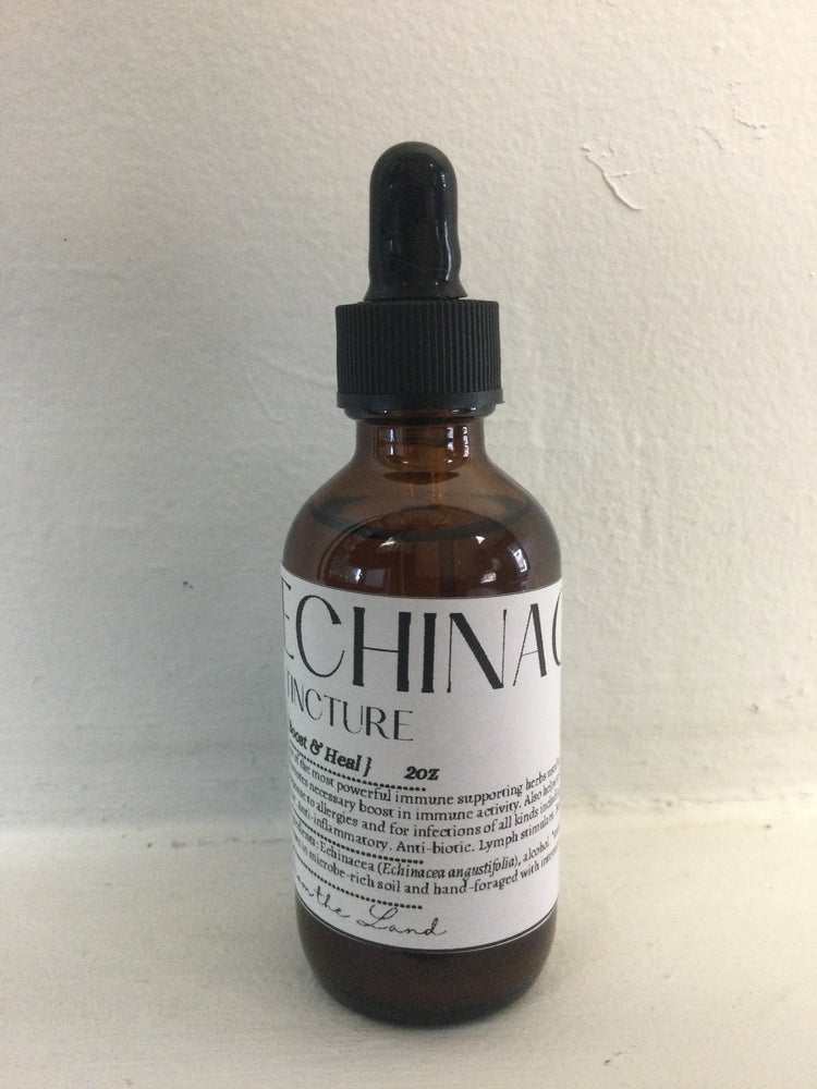 Tincture: Echinacea