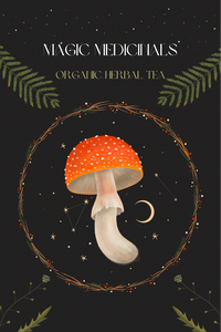 
                                
                                    Load image into Gallery viewer, Magic Medicinals Tea
                                
                            