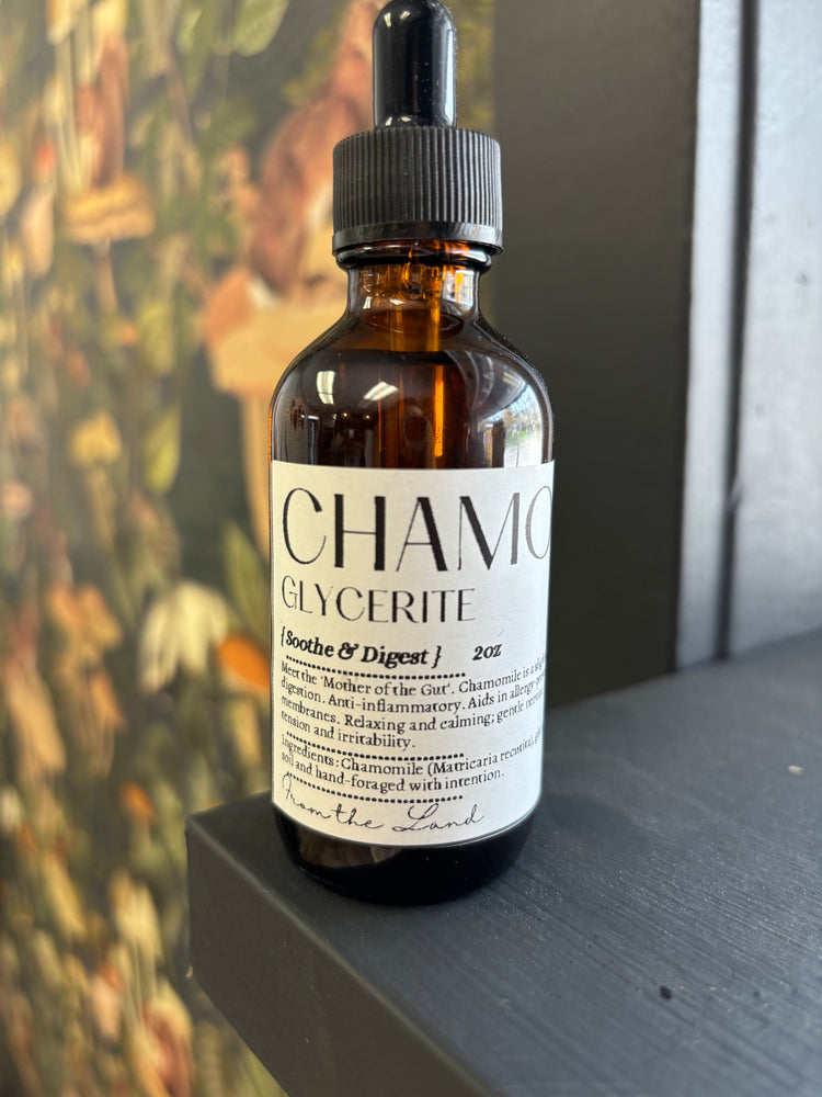 Glycerite: Chamomile